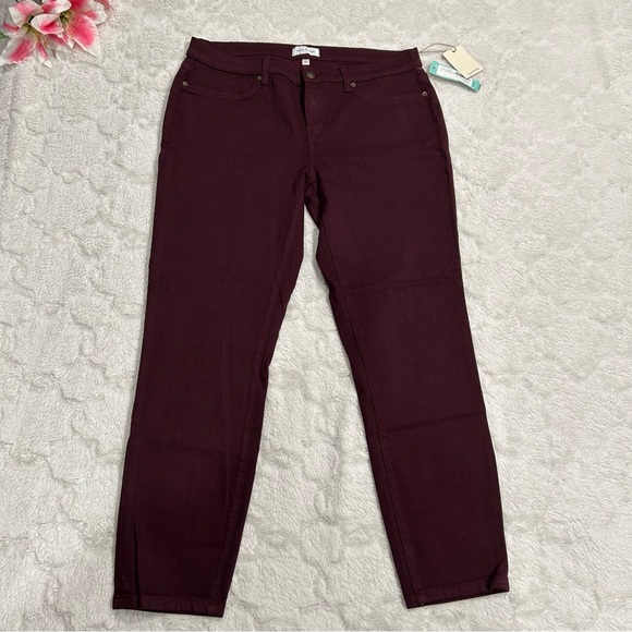 LILA RYAN Denim - NWT Lila Ryan - Louise Skinny Jean Dark Purple 16
